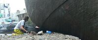 MV Dayspring   beached Corpach 002